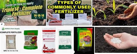 What is 14-14-14 Fertilizer Used For? And Why Do Plants Love It Like Kids Love Candy?